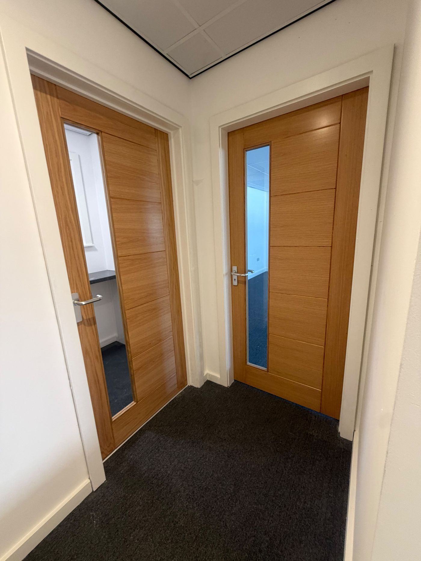 Modern oak office doors with vertical glass panels and chrome lever handles